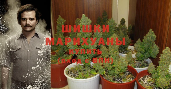 PSILOCYBIN Горняк