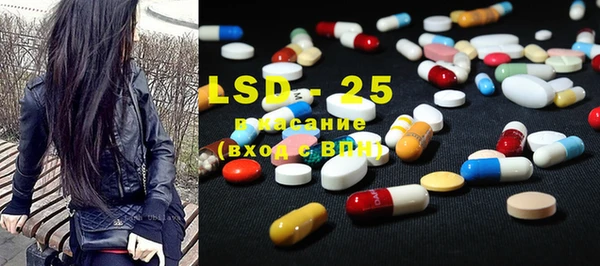 PSILOCYBIN Горняк
