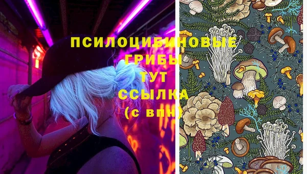 PSILOCYBIN Горняк