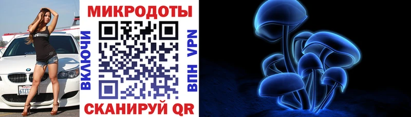 Галлюциногенные грибы Psilocybine cubensis  Купить  Пугачёв 